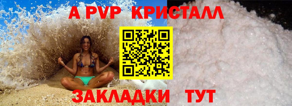 Альфа ПВП СК КРИС Кизляр