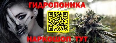 дмт Кимры