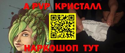 прущие грибы Кингисепп