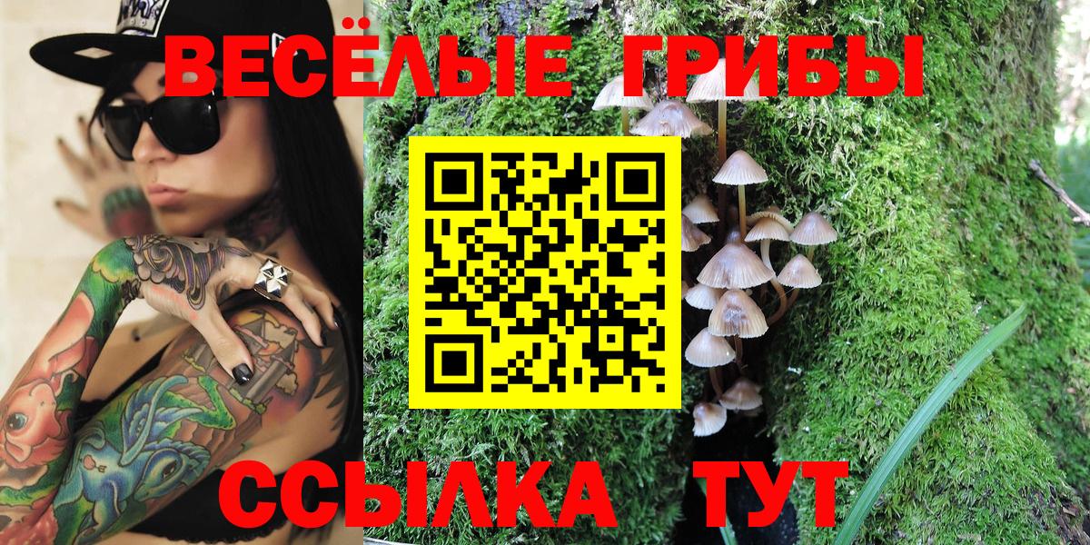 Псилоцибиновые грибы Psilocybine cubensis  Вход с VPN  Галлюциногенные грибы мухоморы  Кизляр 