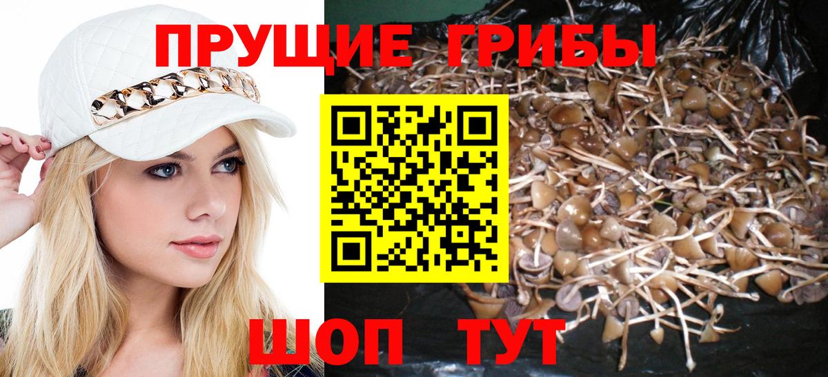 Галлюциногенные грибы мицелий Кизляр